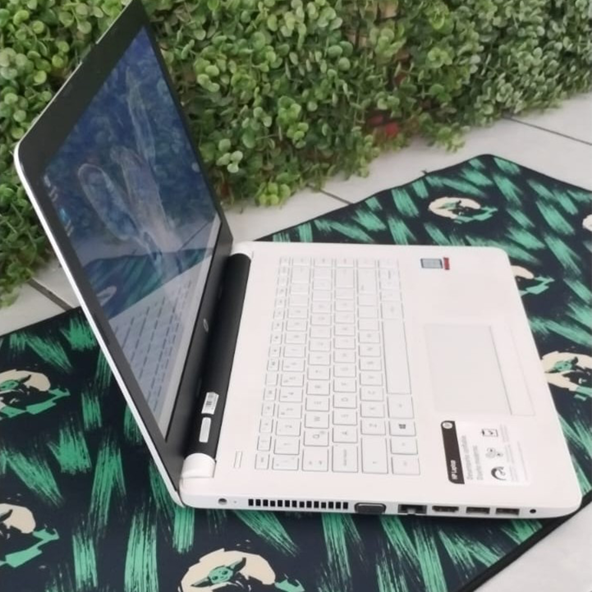 Laptop Dell